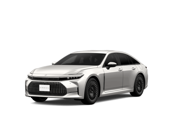 落札0件 プレシャスシルバー〈1J6〉