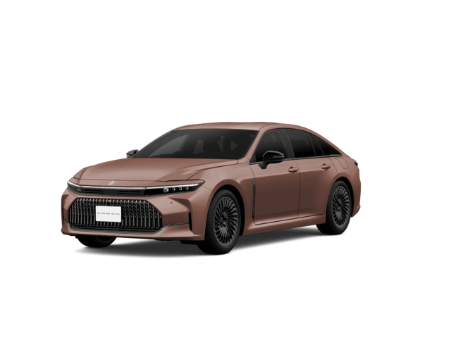 落札0件 プレシャスブロンズ〈4Y6〉