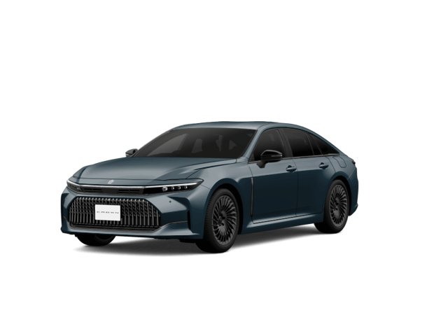 落札0件 マッシブグレー〈1L6〉