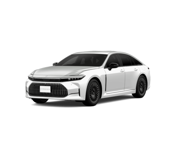 プレシャスメタル×プレシャスホワイトパール〈M75〉