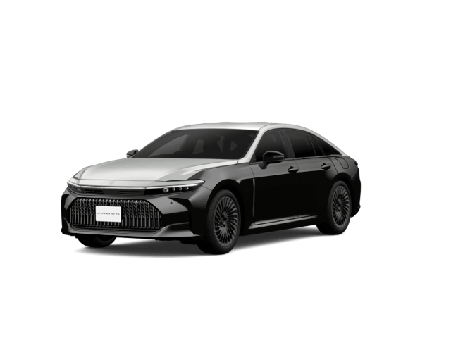 プレシャスメタル×プレシャスブラックパール〈M77〉