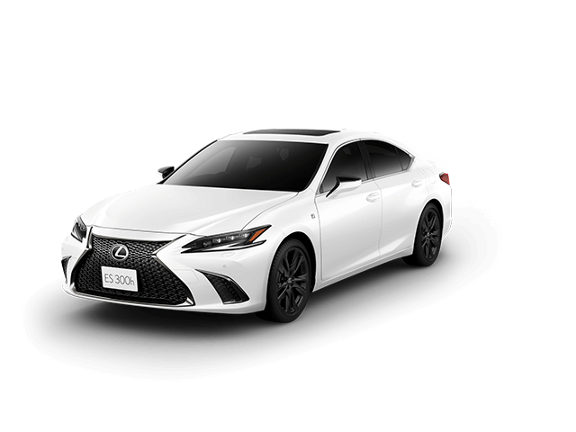 1位 ホワイトノーヴァガラスフレーク（083)